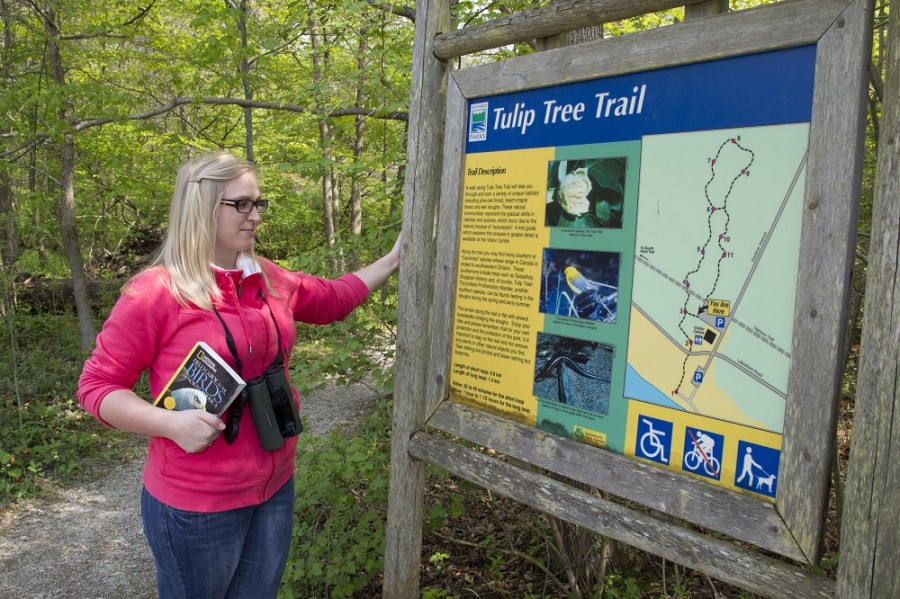 Rondeau trail