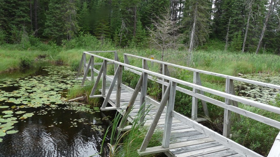 White Lake boardwalk