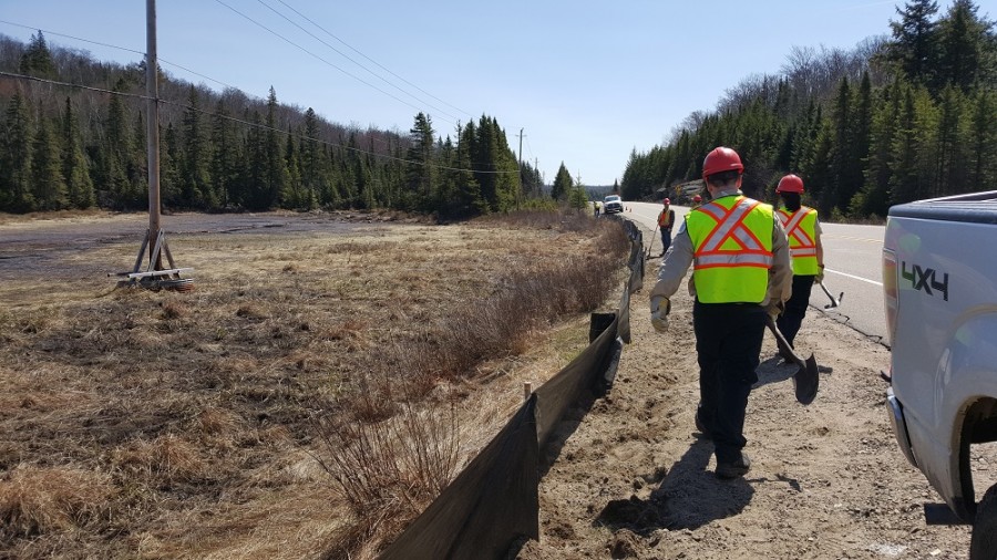 staff install turtle fencing