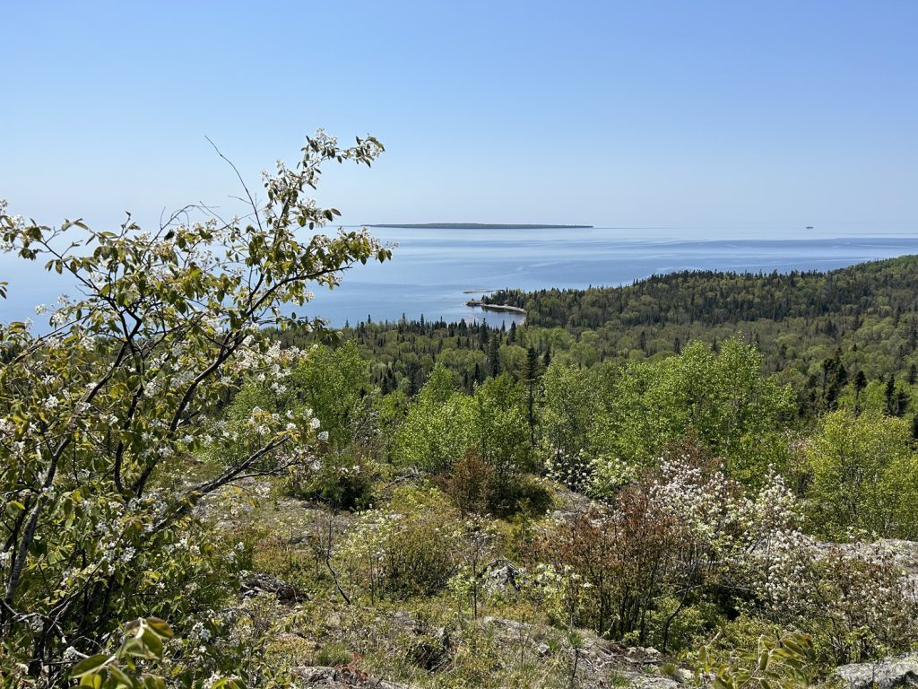 lookout view, down onto forest and Lake Superior