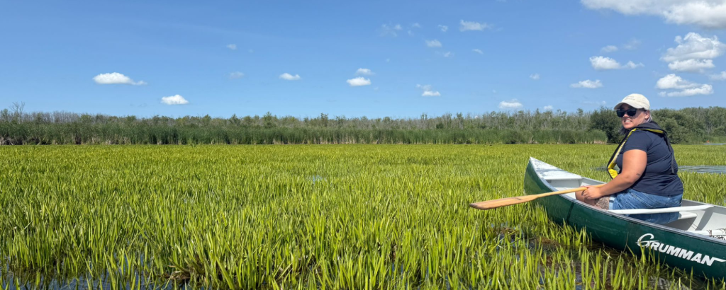 canoe and paddler stuck in invasive Water Soldier plants on lake