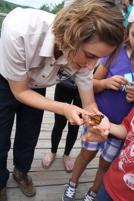 staff with butterfly