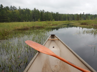 paddles