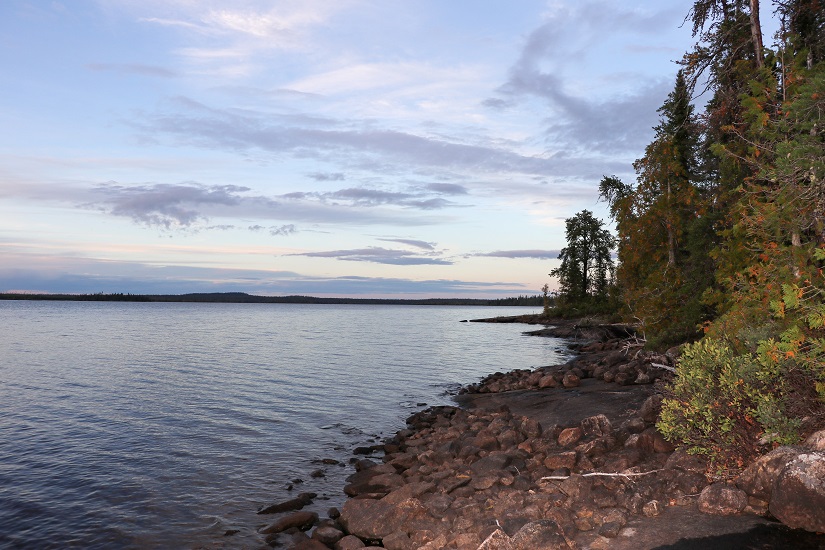 Shoreline on a quiet lake.