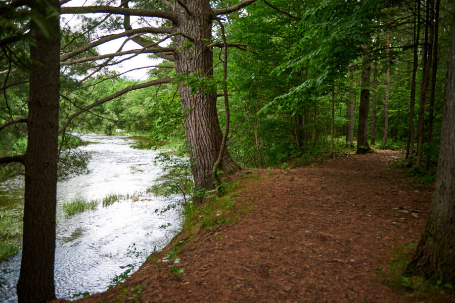 Carp Trail, Fitzro