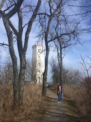 Presqu'ile in November