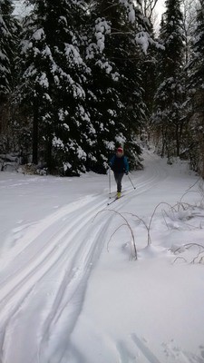 Quetico skier