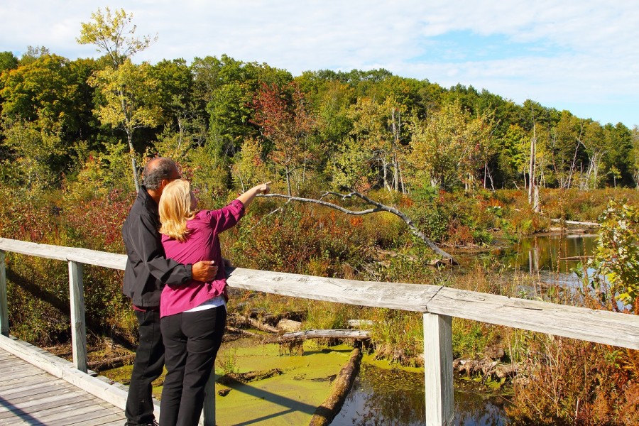 couple on bridge