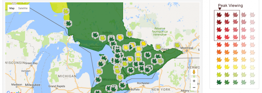 fall colour map