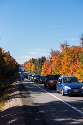 Algonquin traffic