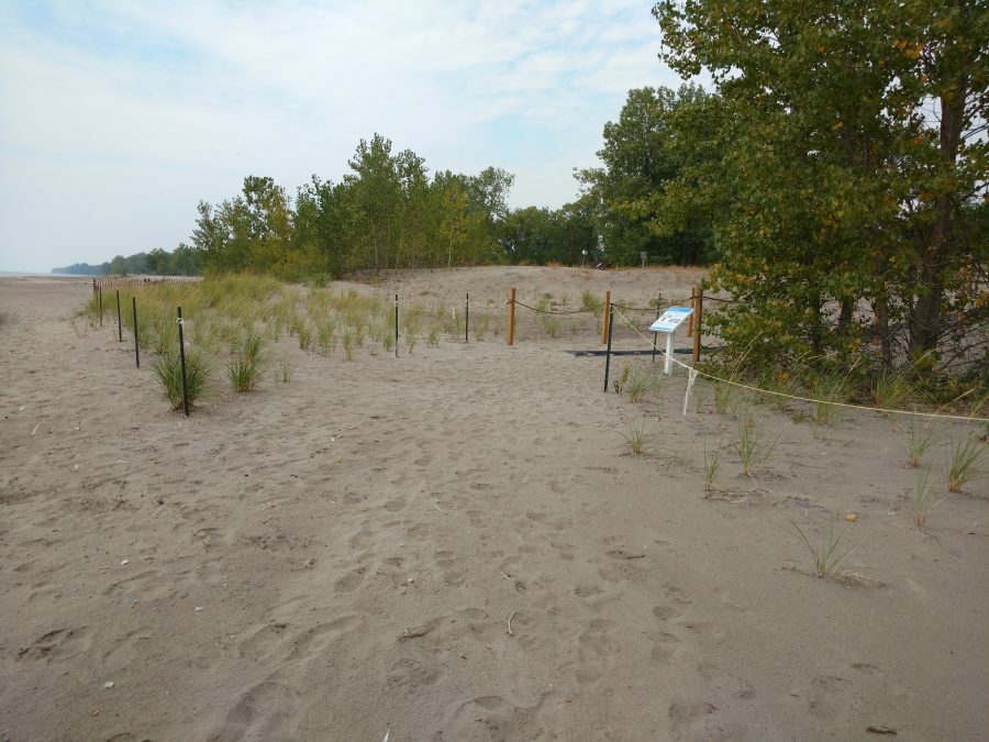 Long Point beach after