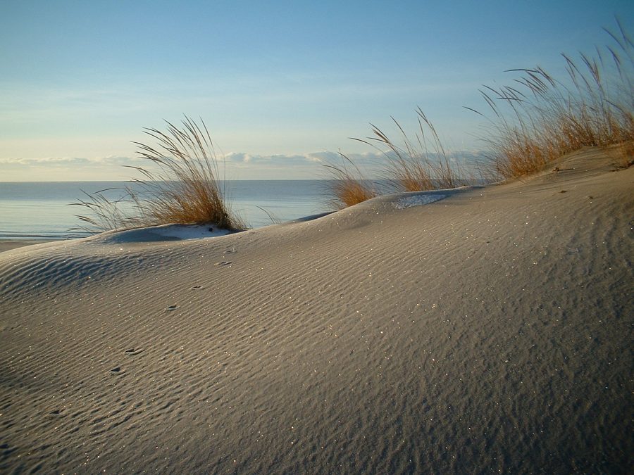 beach