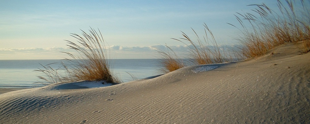 Sand dune with grasses