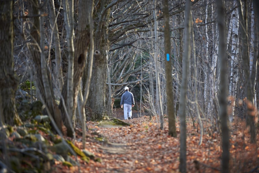 Mono Cliffs Provincial Park Autumn Hiking