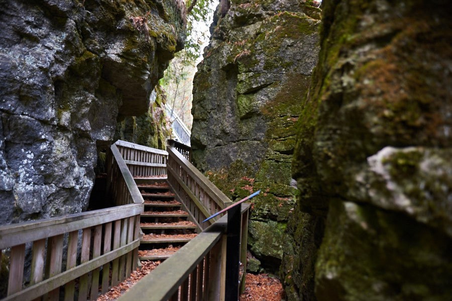 Mono Cliffs Provincial Park trail