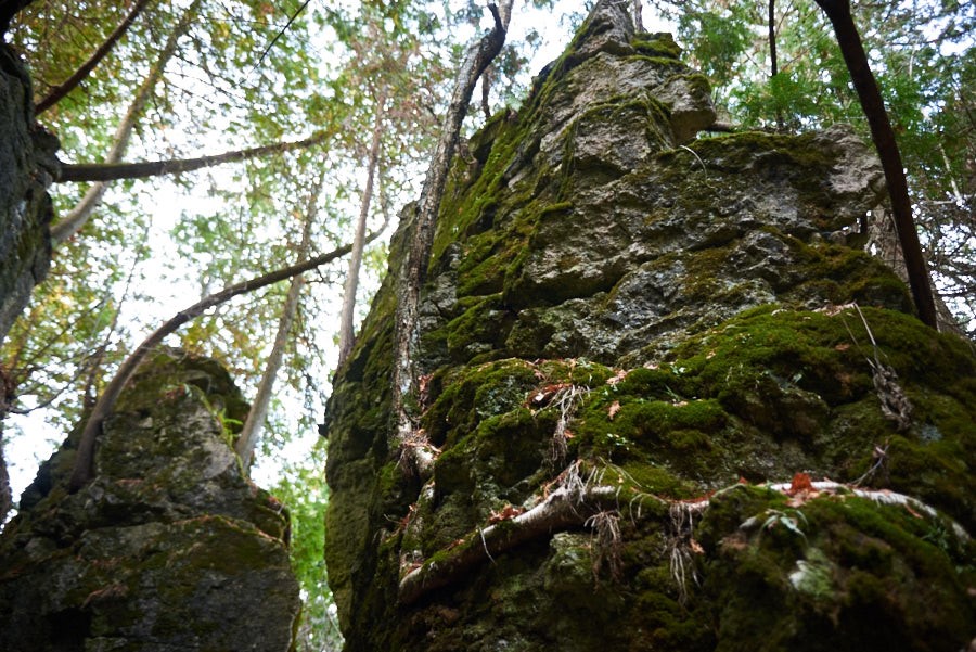 Mono Cliffs Provincial Park rockface