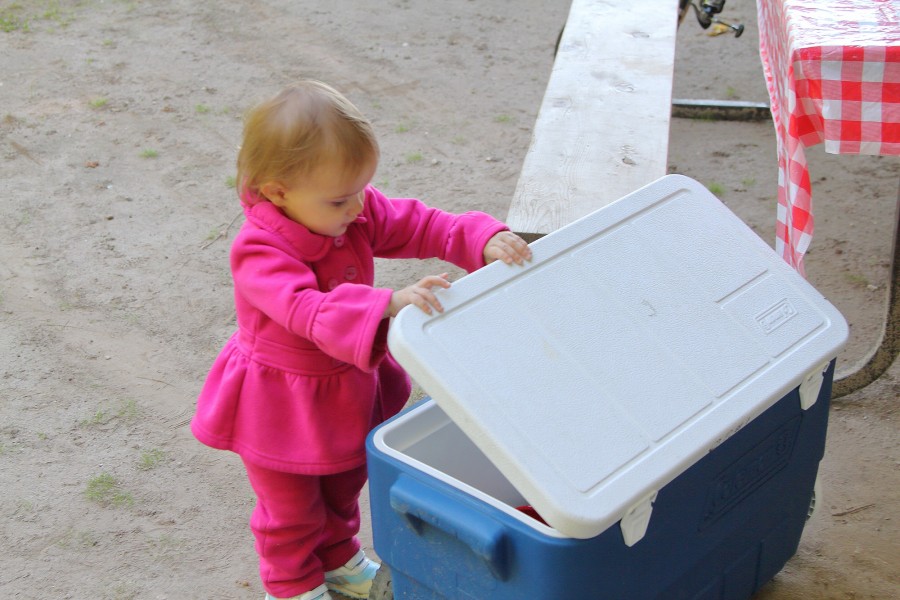 child looking in cooler