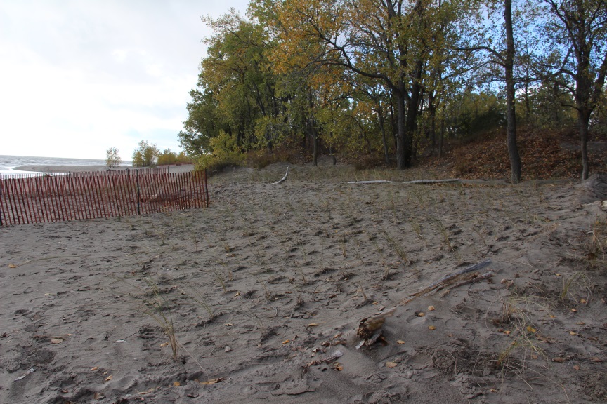 Long Point beach