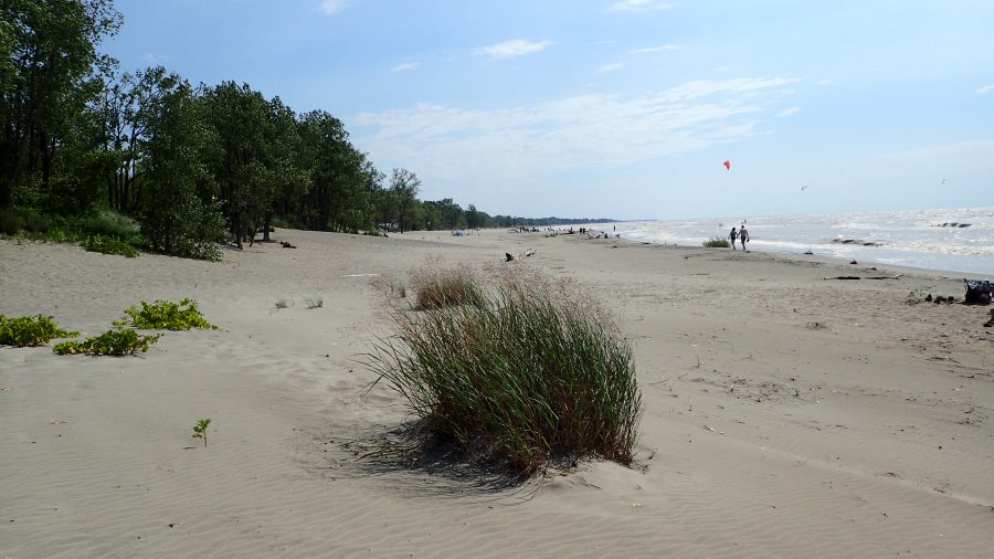 Long Point beach