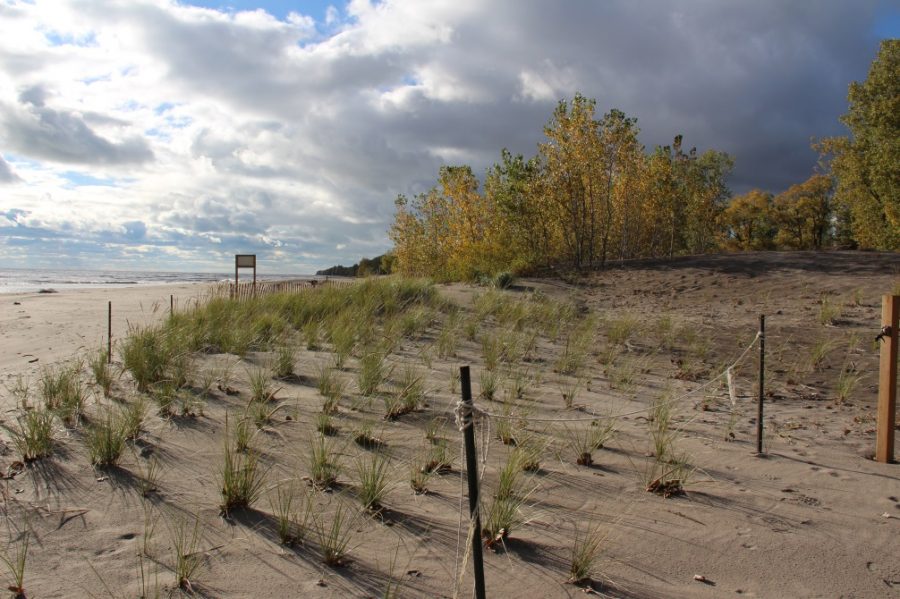 Long Point beach 