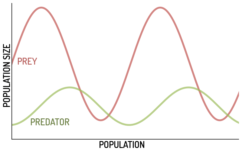 predator prey graph