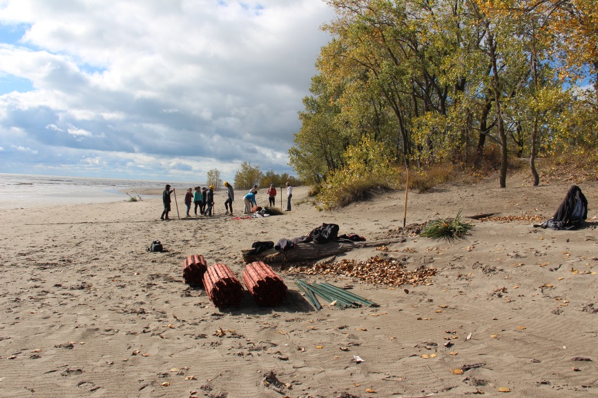 volunteers at beach