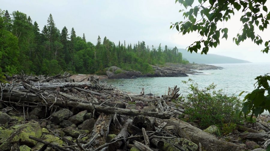 Neys Driftwood Bay