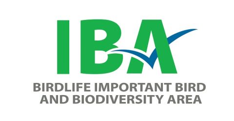 IBA logo