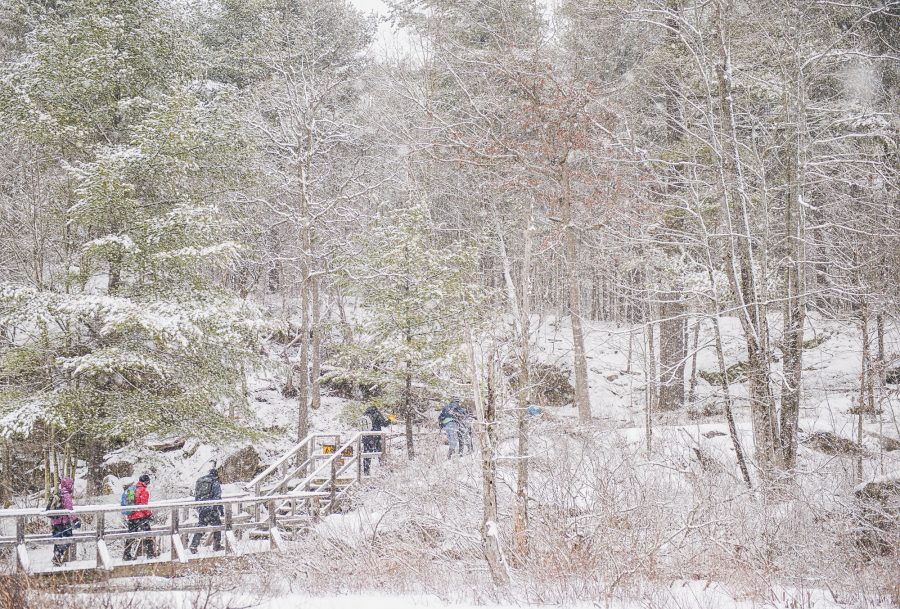 Frontenac snowshoers