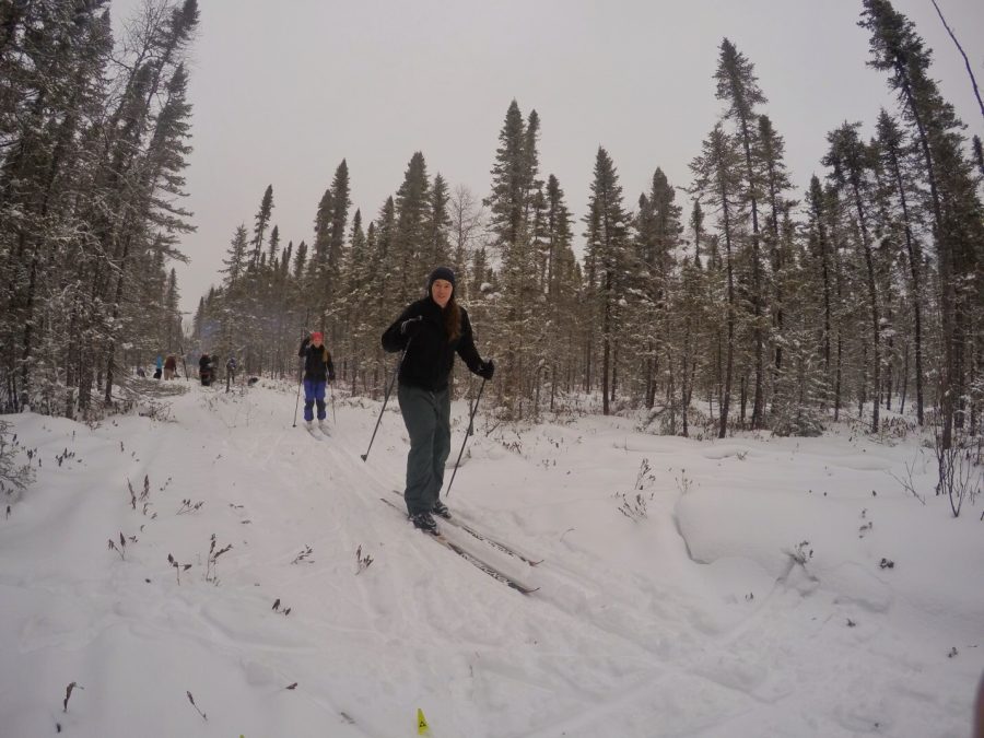 Quetico skier