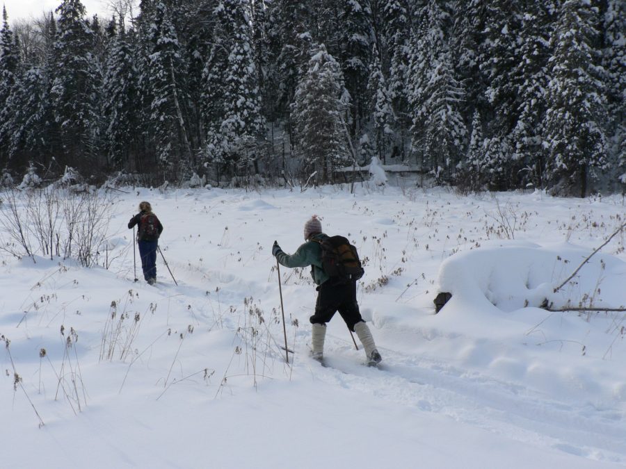 Quetico skiers