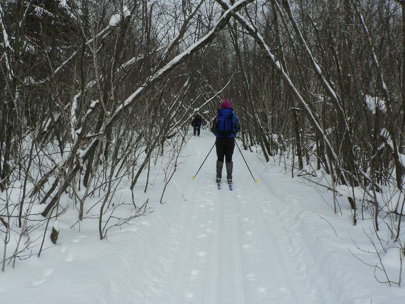 quetico-skier