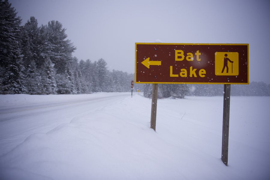 Bat Lake Trail