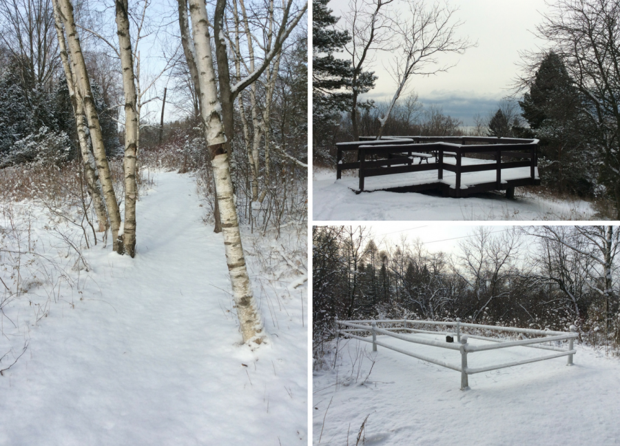 Burk Trail in winter