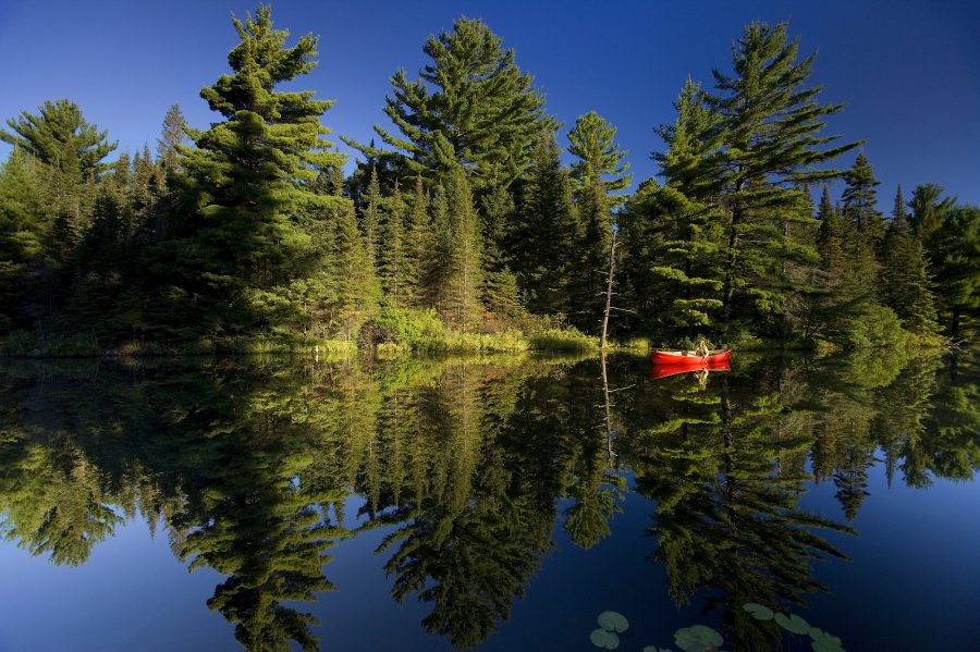 Lady Evelyn-Smoothwater canoeist