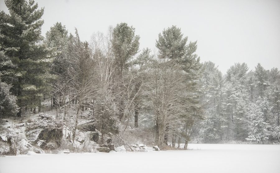 Frontenac winter scene