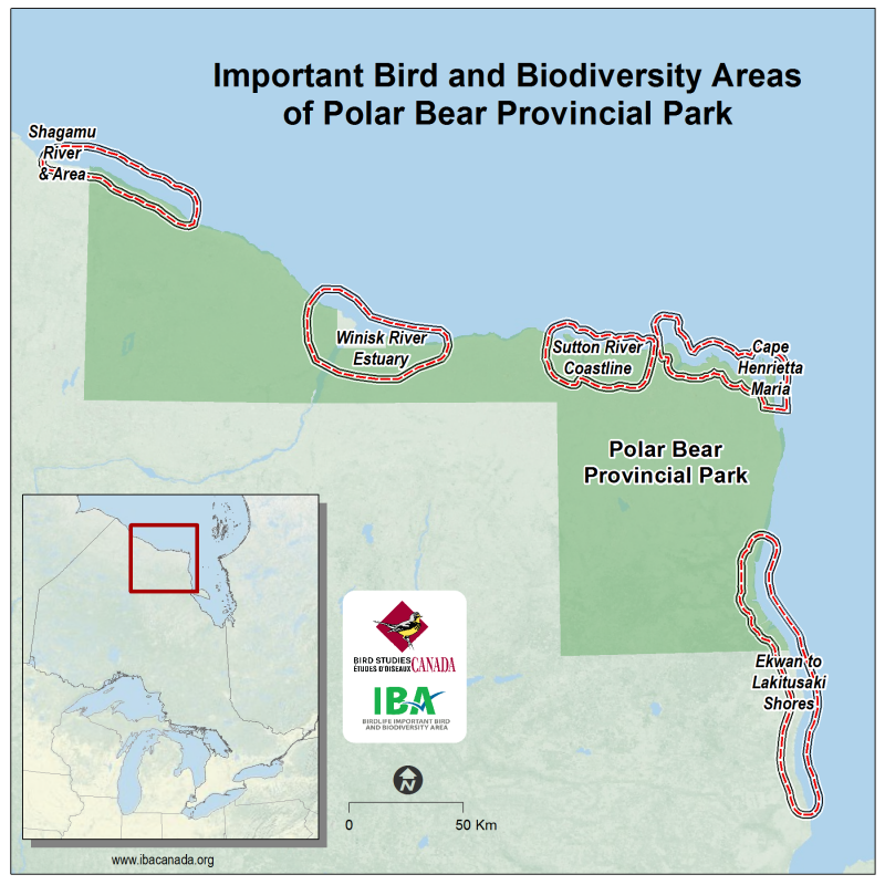 map of Polar Bear PP IBAs