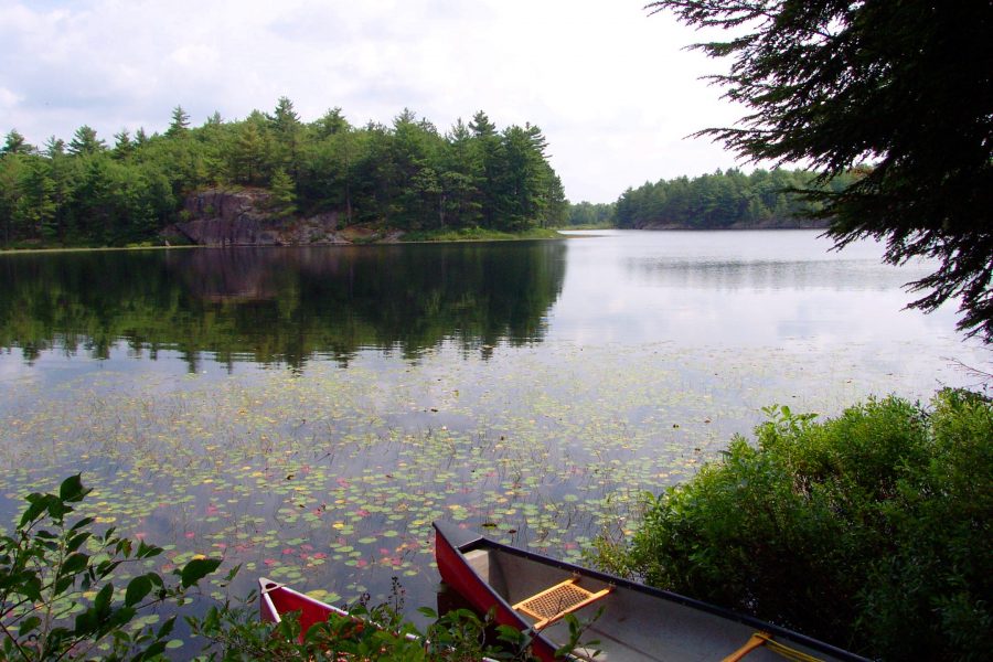 canoes on shore