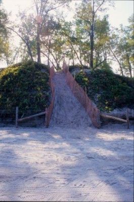 path through dunes