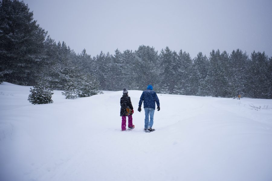 snowshoers