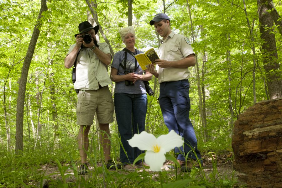 visitors photographing trilliums