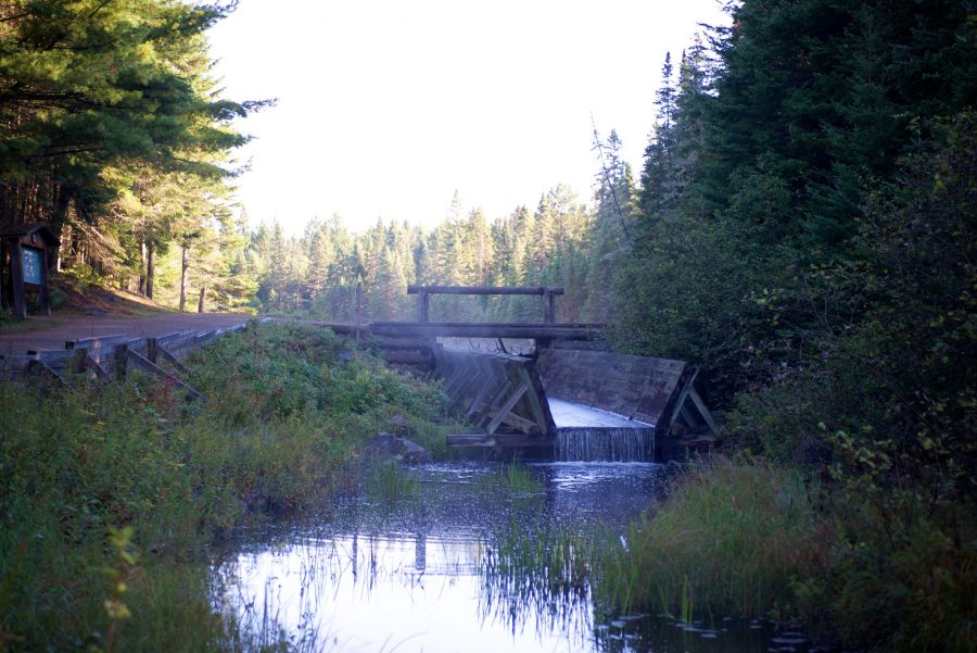 Log Chute along the Logging Museum Trail 