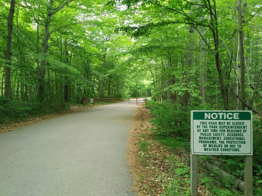 rondeau roadway