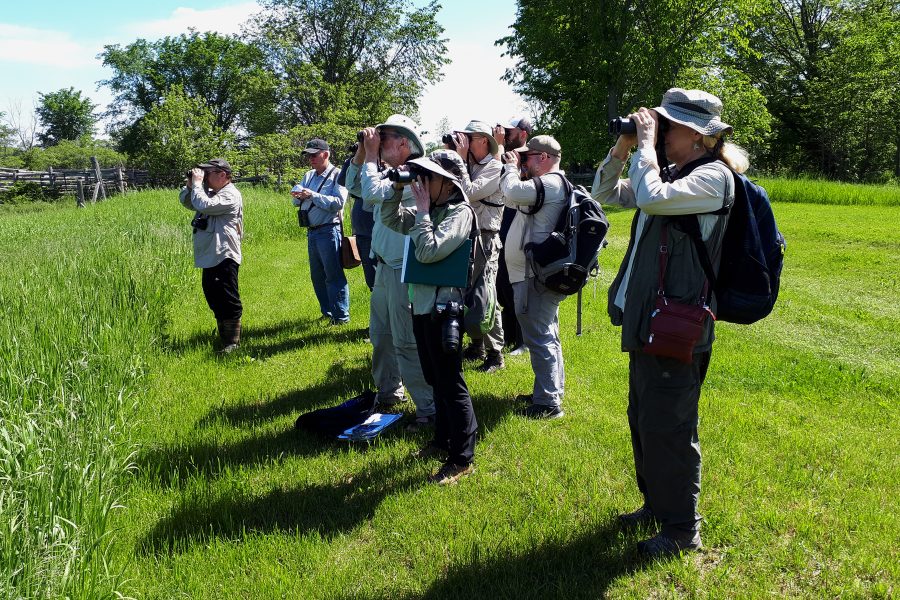 photographers standing in park