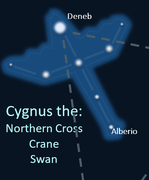 Cygnus