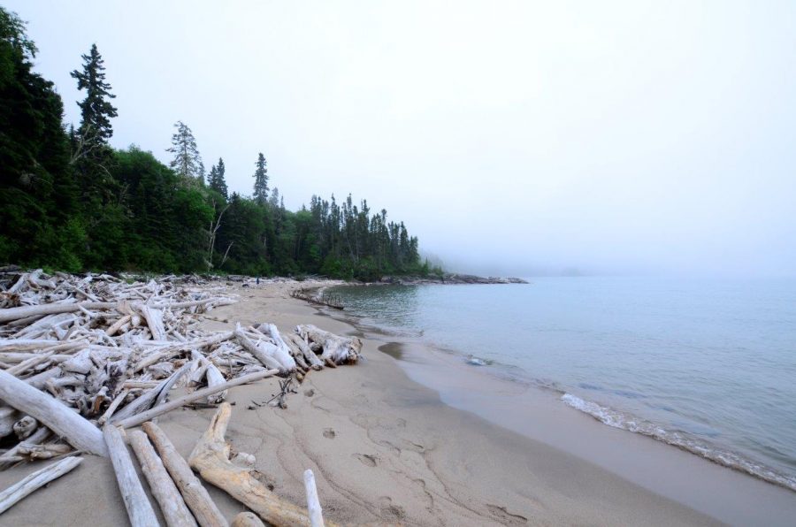 Driftwood scattered along the beach at Neys Provincial Park.