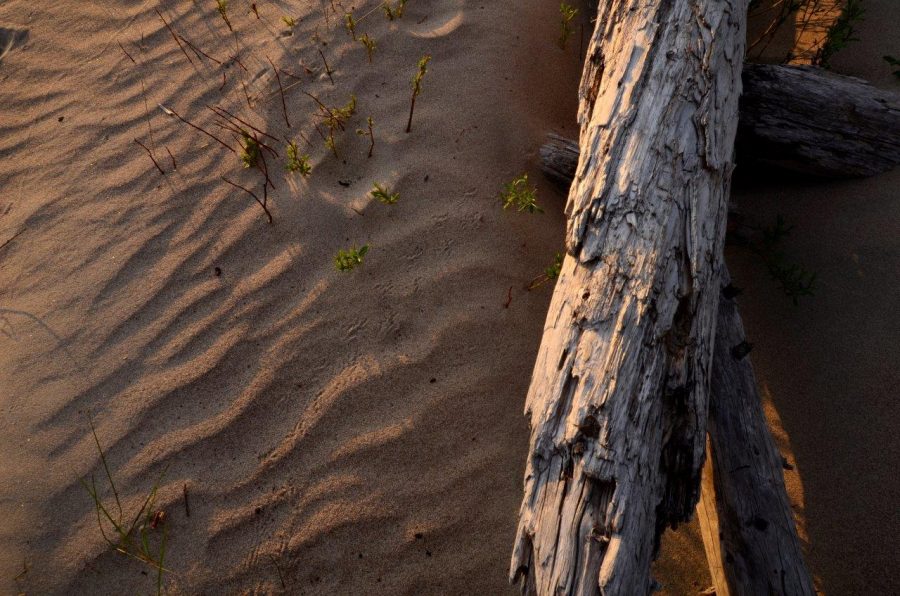 Notice the footprints in the sand? 