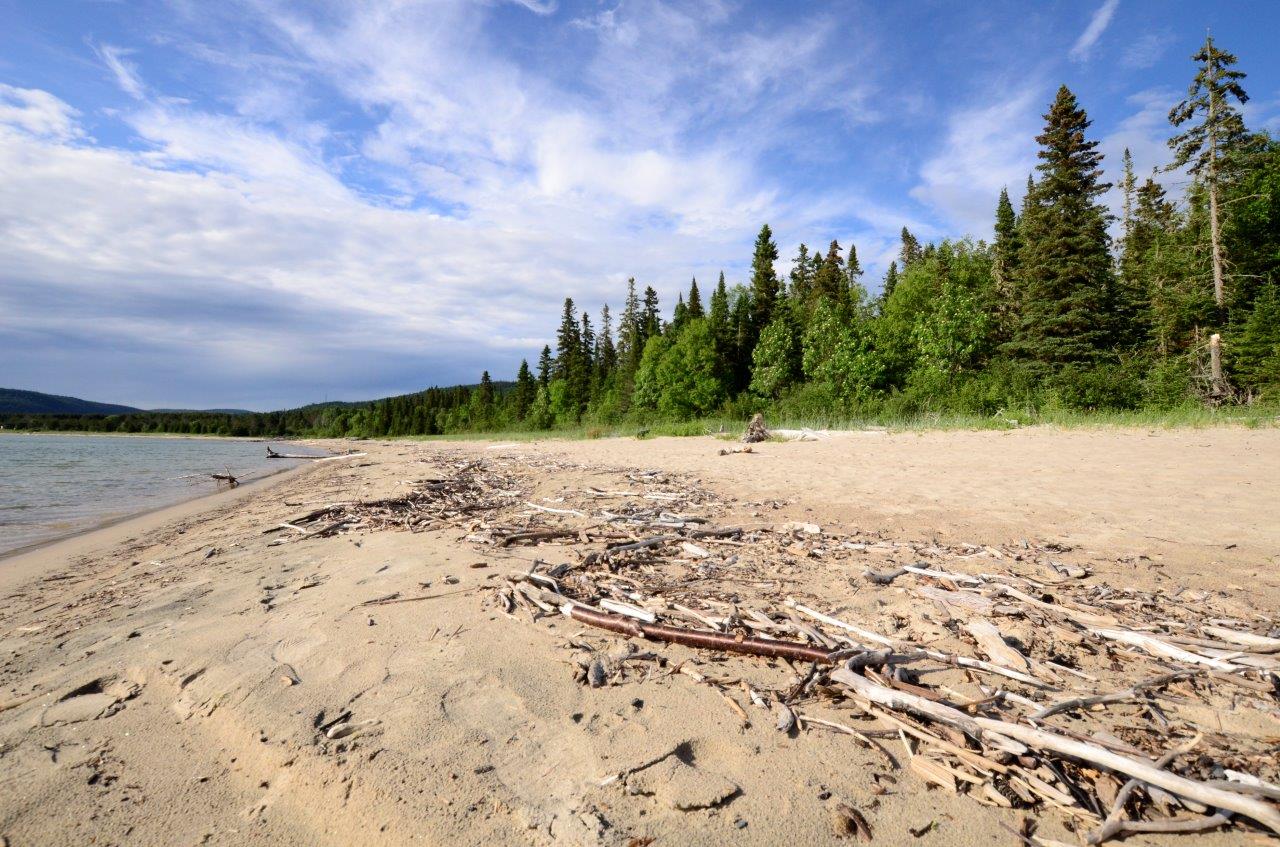 Scattered driftwood on the beach at Neys Provincial Park.