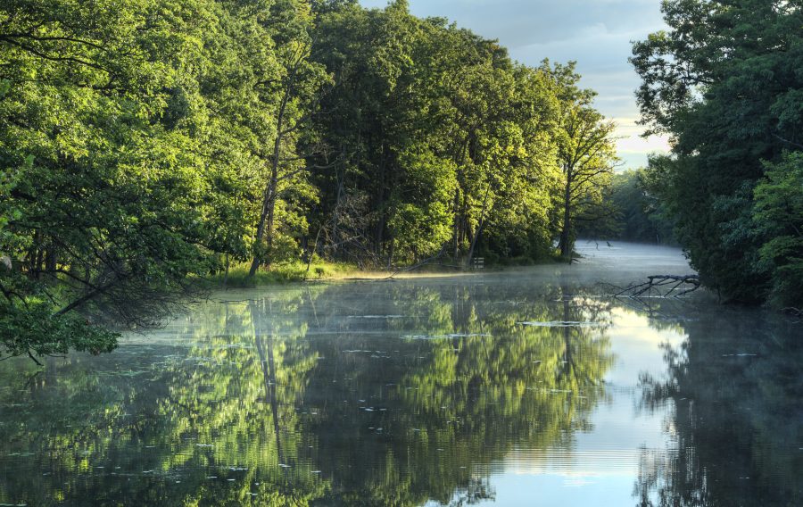 mist on river