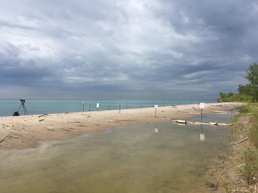 fenced off section of beach